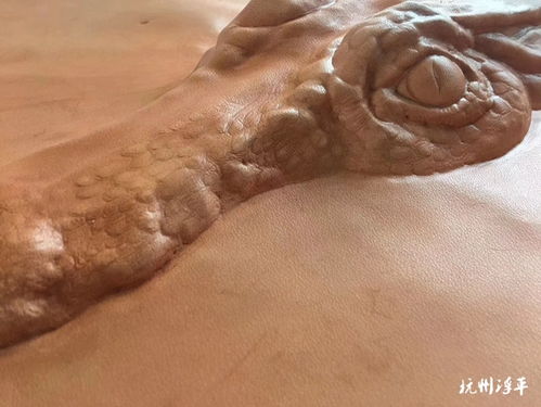 匠心鱗影 嘉慶老師皮塑新作中的鱷魚美學(xué)